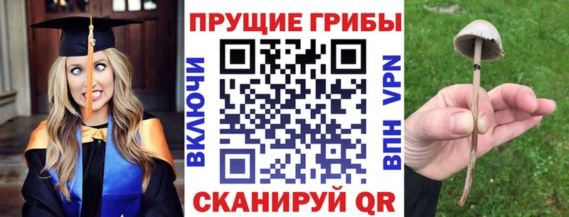 Псилоцибиновые грибы Magic Shrooms хочу наркоту Карабаш